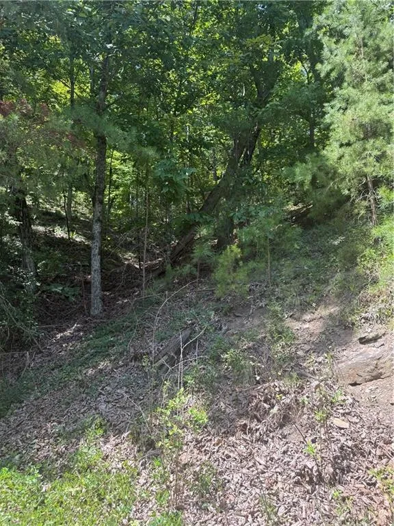 347 Meteor Court NE Ranger, GA 30734