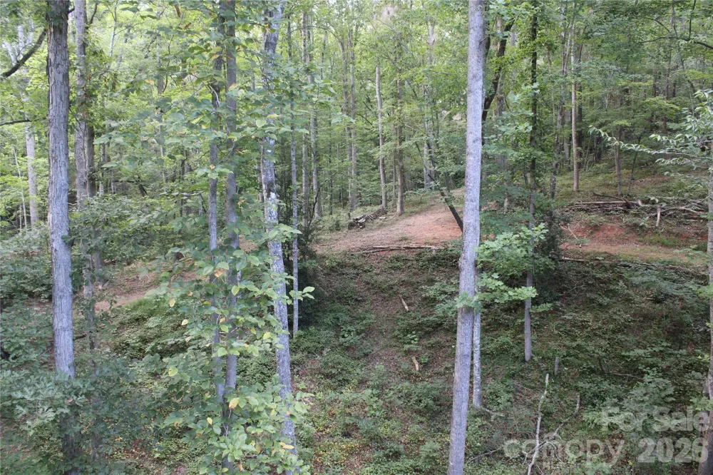 192 Wren Drive Rutherfordton, NC 28713