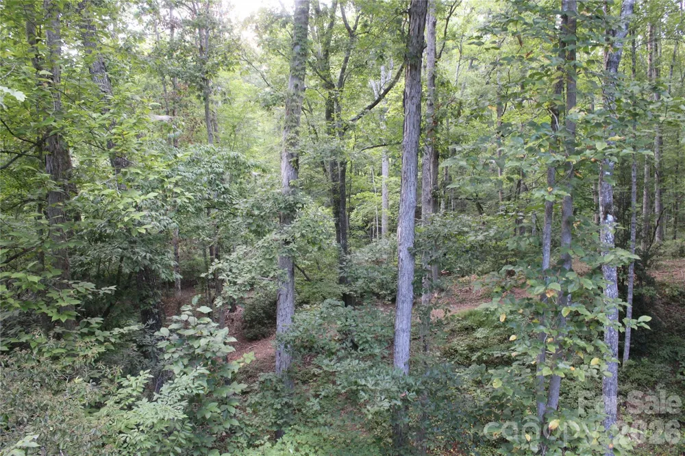 192 Wren Drive Rutherfordton, NC 28713