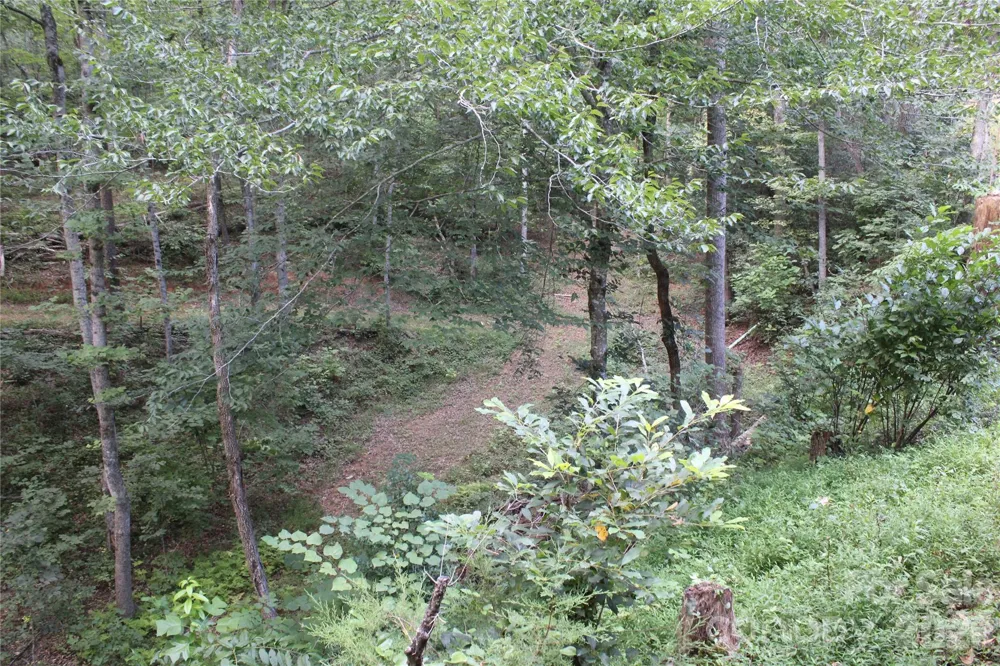 192 Wren Drive Rutherfordton, NC 28713