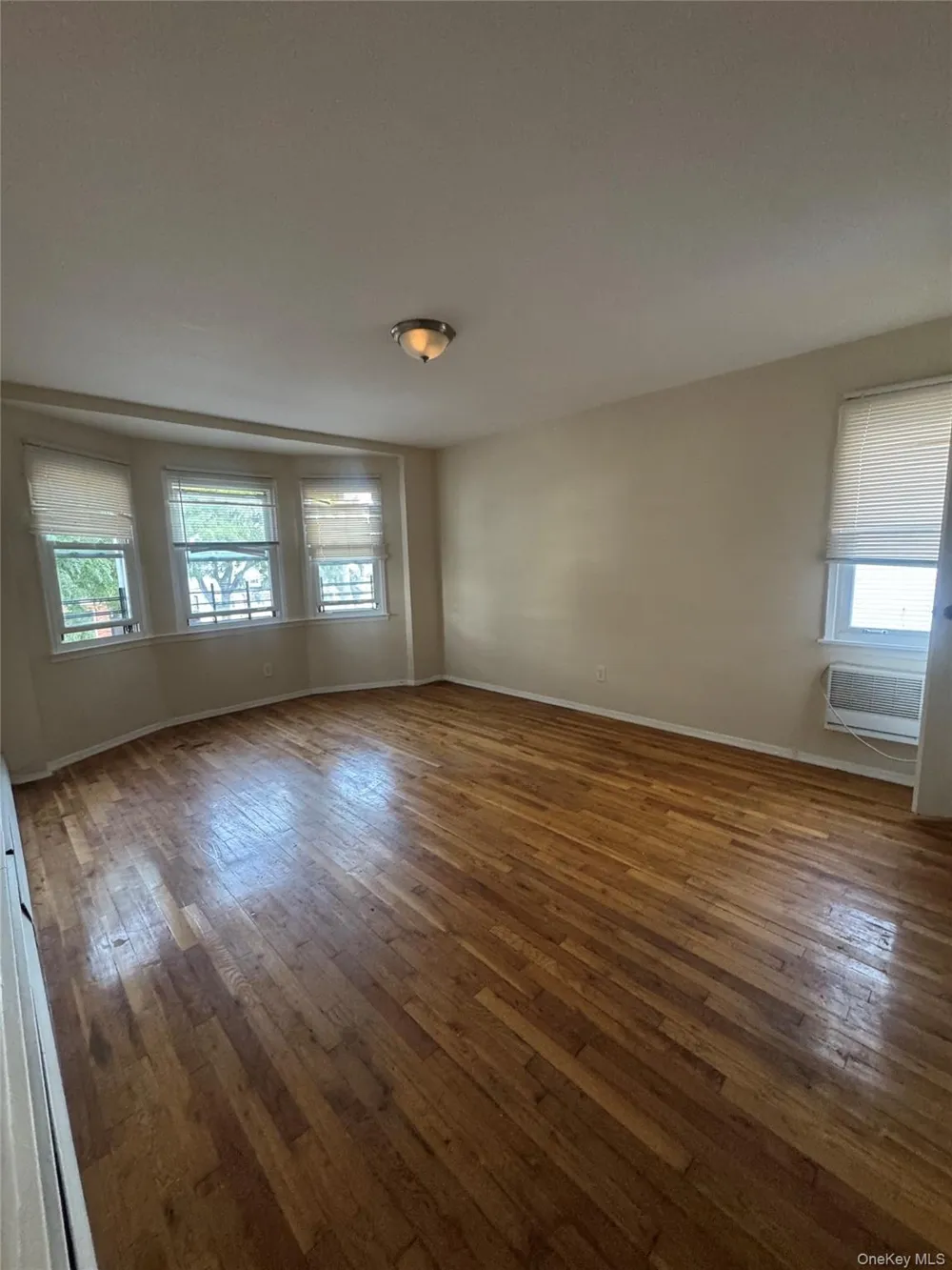148-56 262nd Place Rosedale, NY 11422