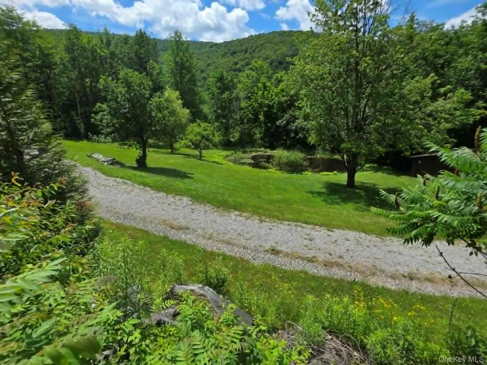 195 Haynes Hollow Arkville, NY 12406