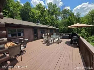 195 Haynes Hollow Arkville, NY 12406