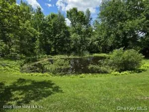 195 Haynes Hollow Arkville, NY 12406