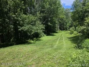 195 Haynes Hollow Arkville, NY 12406