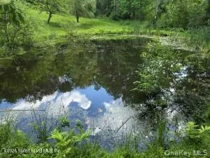 195 Haynes Hollow Arkville, NY 12406