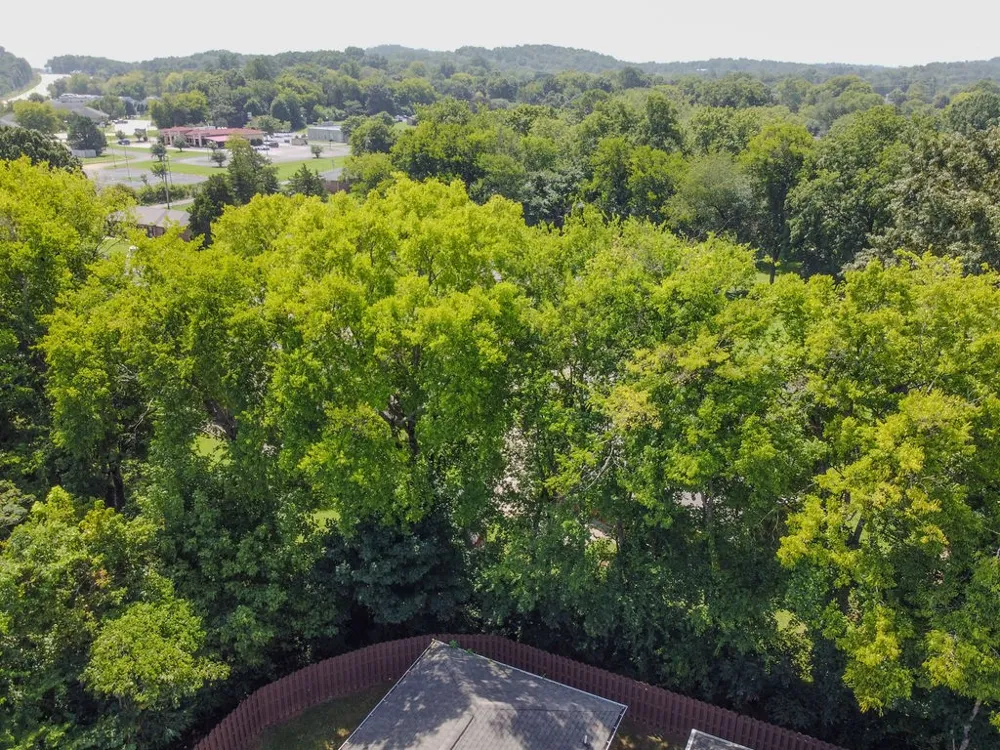 4470 Keith Street NW #203 Cleveland, TN 37312