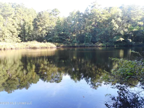 Mississippi 15