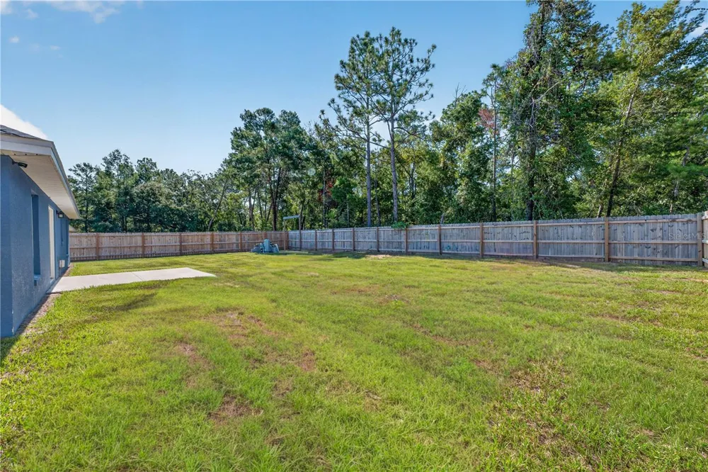 138 FISHER RUN Ocklawaha, FL 32179