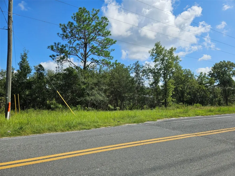 0000 NE 60TH STREET Bronson, FL 32621