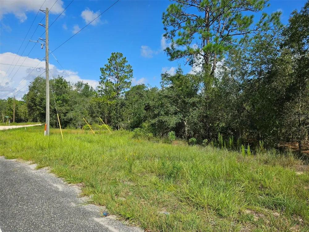0000 NE 60TH STREET Bronson, FL 32621