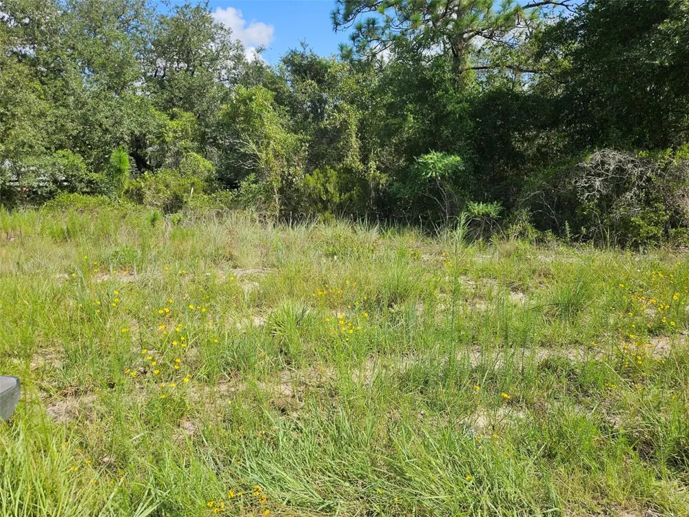 0000 NE 60TH STREET Bronson, FL 32621
