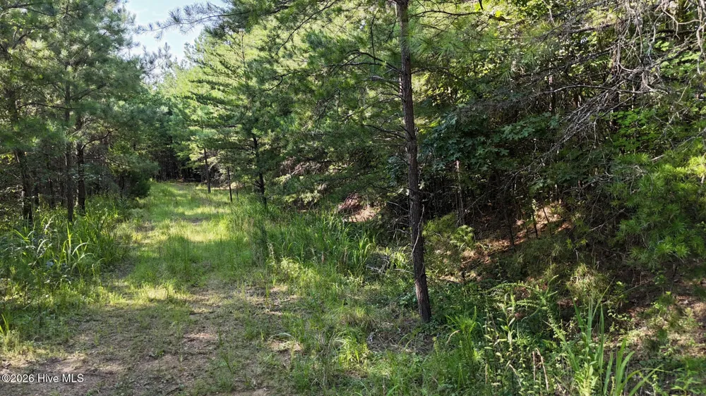 3 Dasali Way Murphy, NC 28906