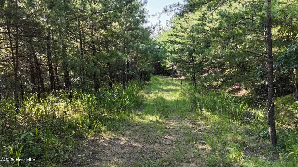3 Dasali Way Murphy, NC 28906