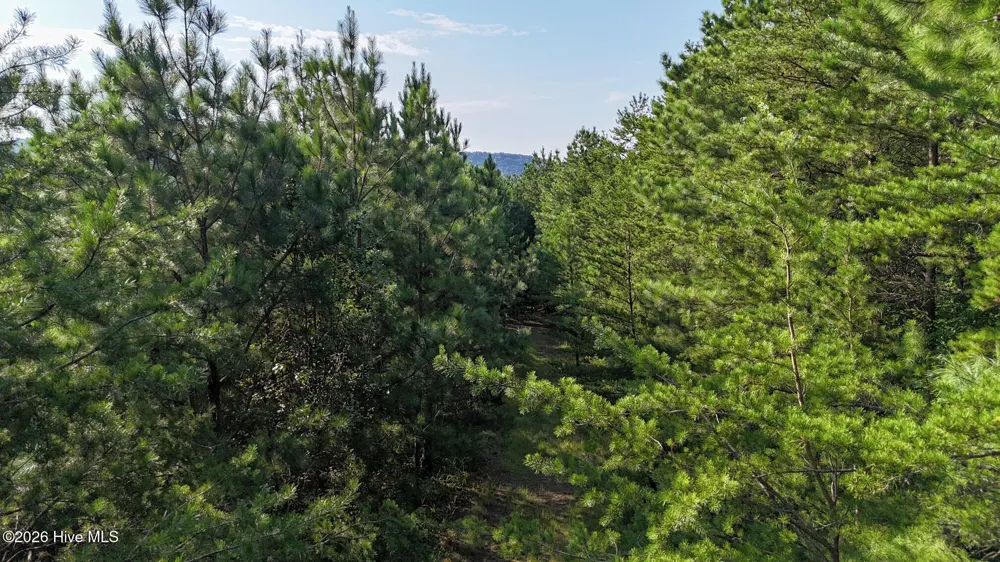 3 Dasali Way Murphy, NC 28906