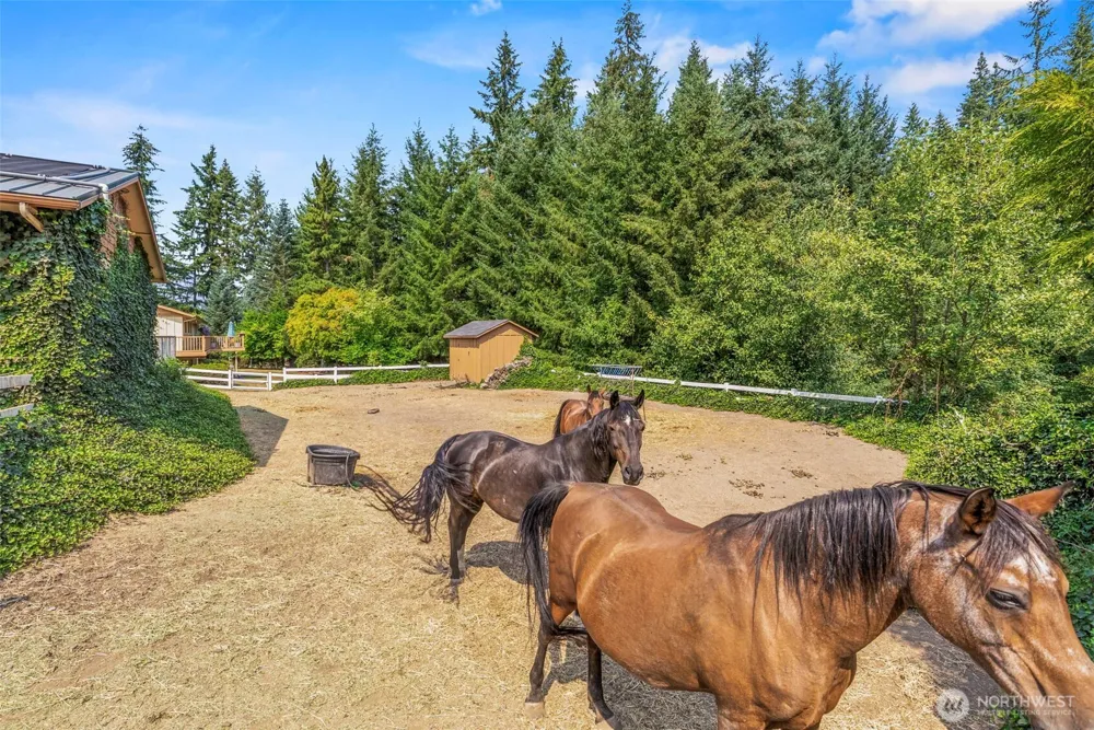 891 Young Road Kelso, WA 98626