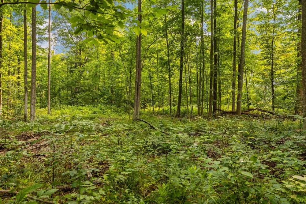 US-31 Boardman Township, MI 49633