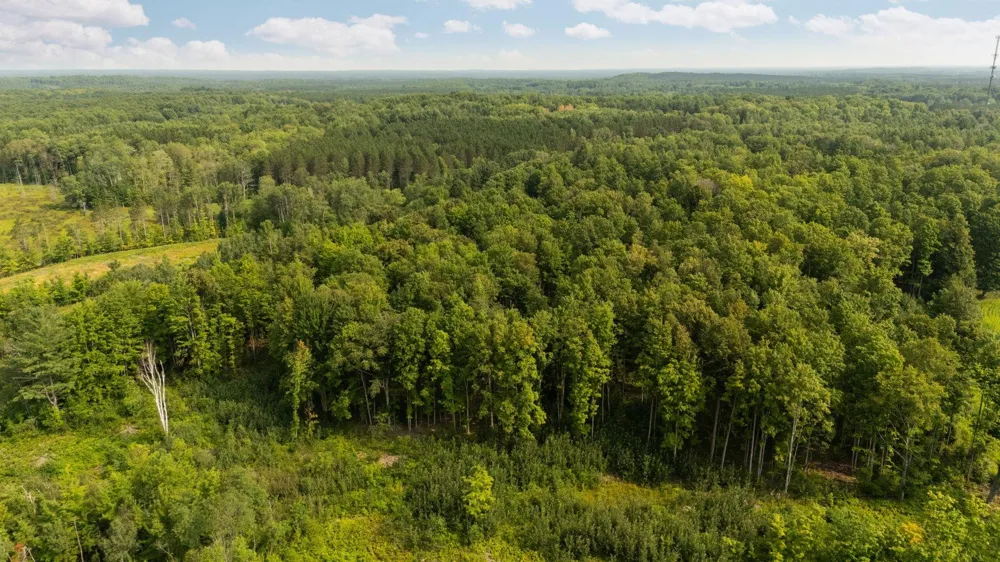 US-31 Boardman Township, MI 49633