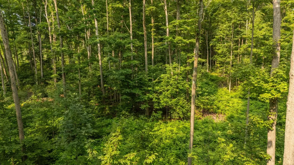 US-31 Boardman Township, MI 49633