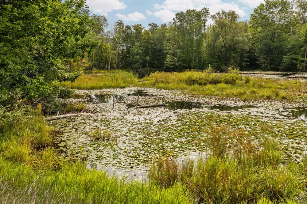 US-31 Boardman Township, MI 49633