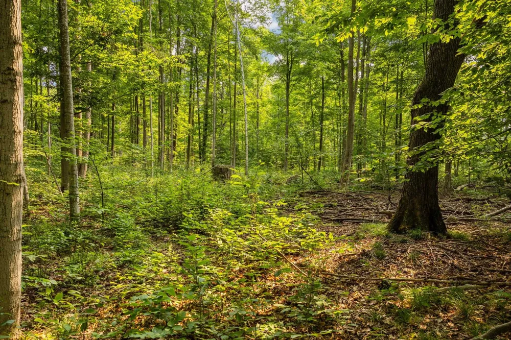 US-31 Boardman Township, MI 49633