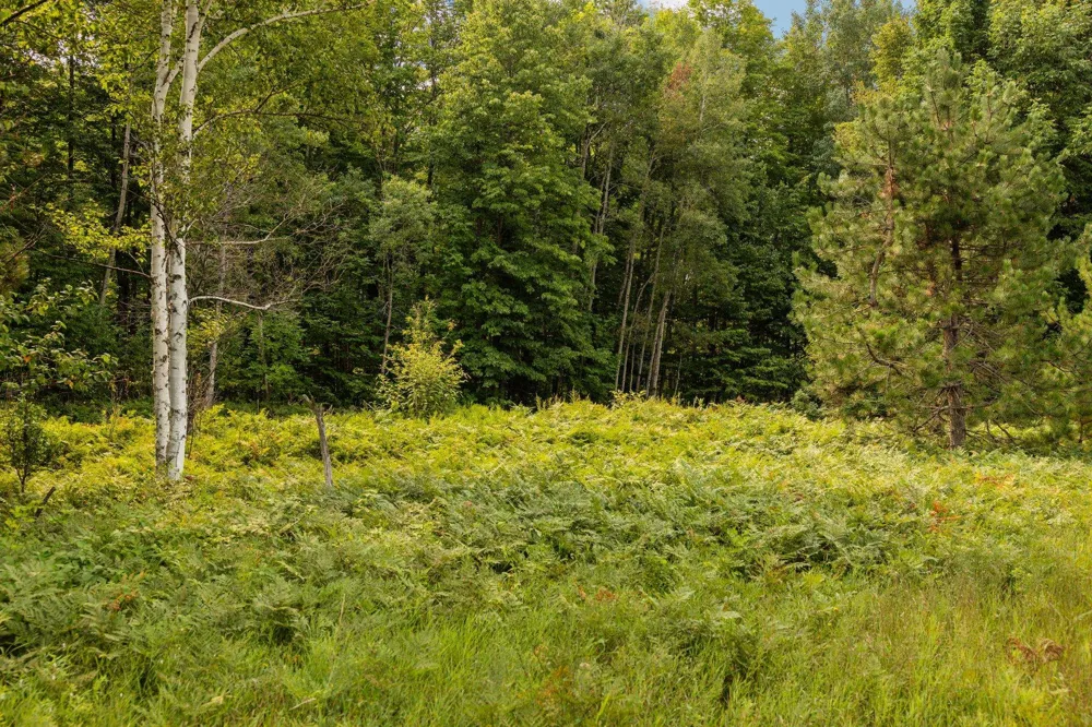 US-31 Boardman Township, MI 49633