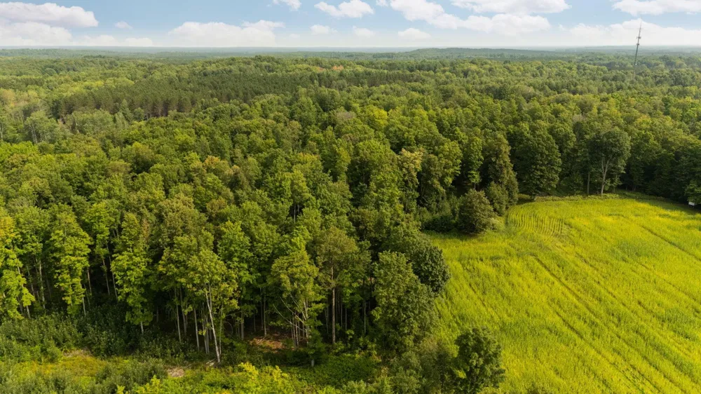 US-31 Boardman Township, MI 49633