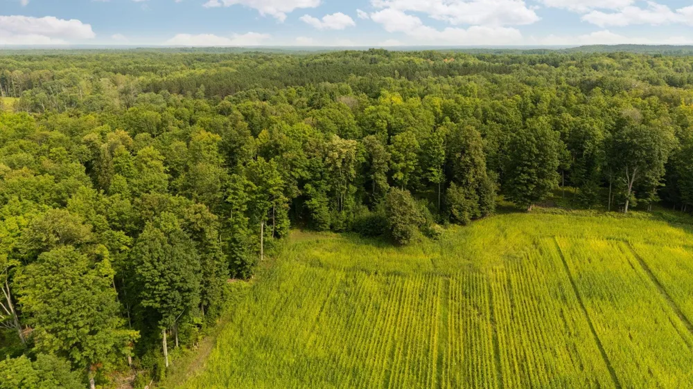 US-31 Boardman Township, MI 49633