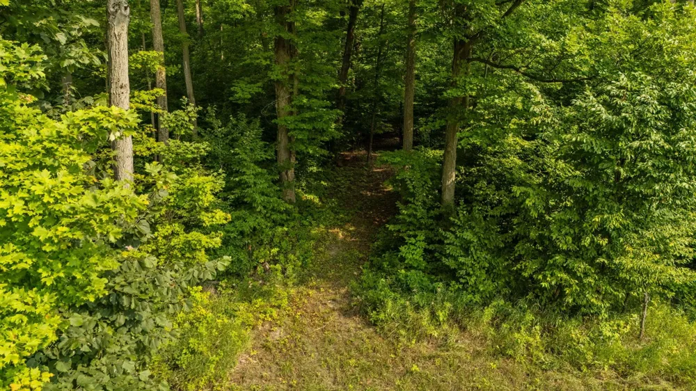 US-31 Boardman Township, MI 49633