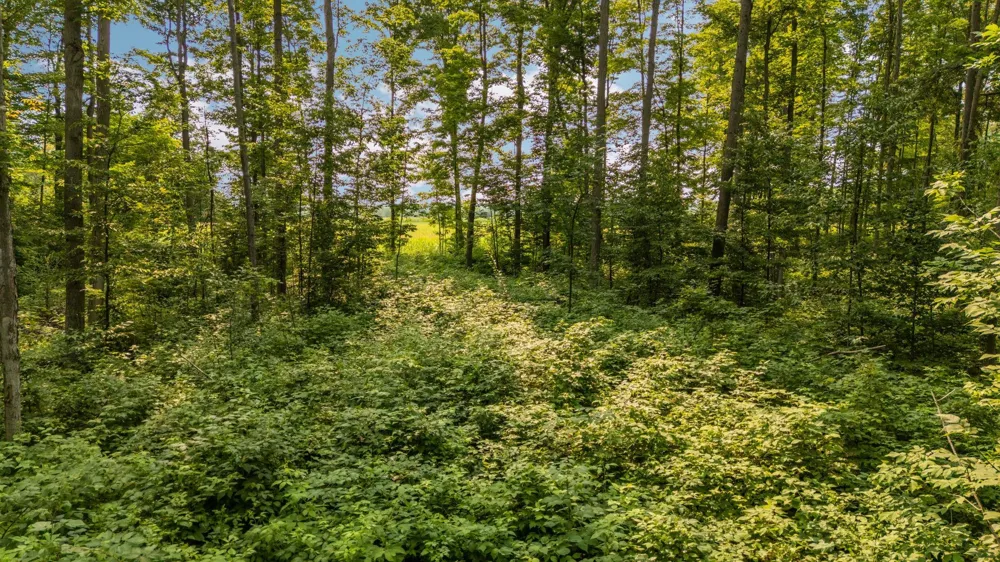 US-31 Boardman Township, MI 49633