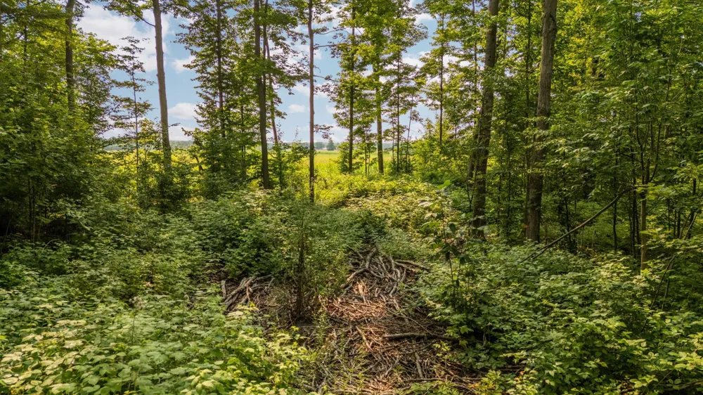US-31 Boardman Township, MI 49633