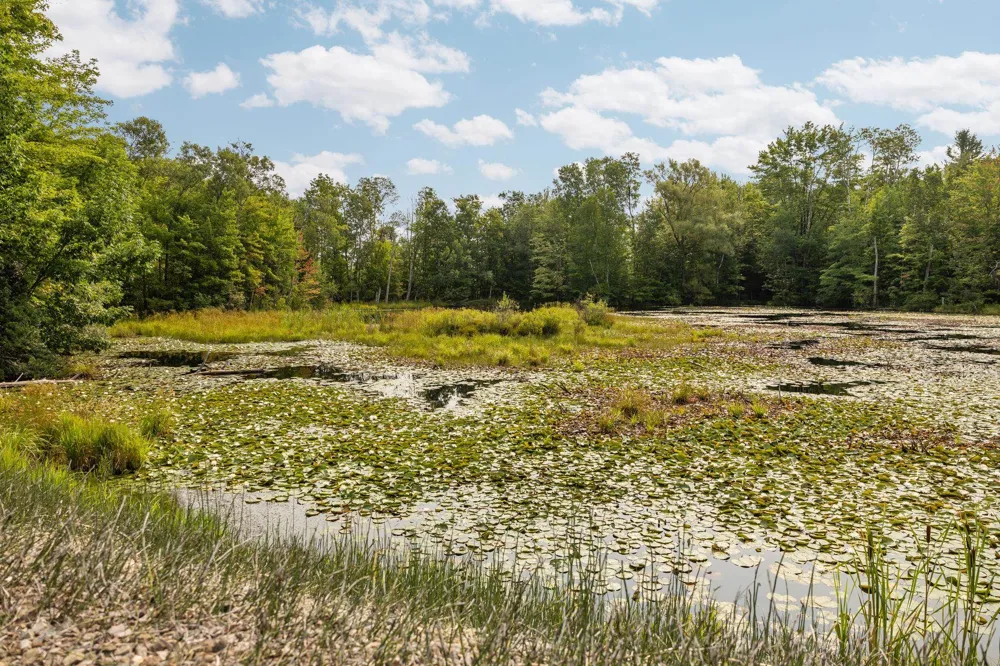 US-31 Boardman Township, MI 49633