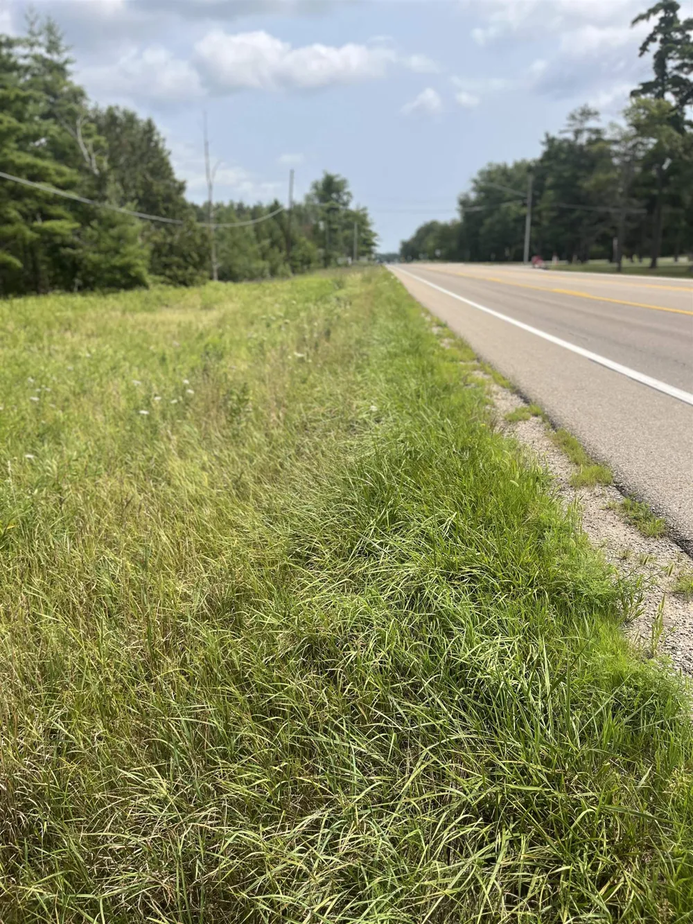 M-55 Tawas Township, MI 48763