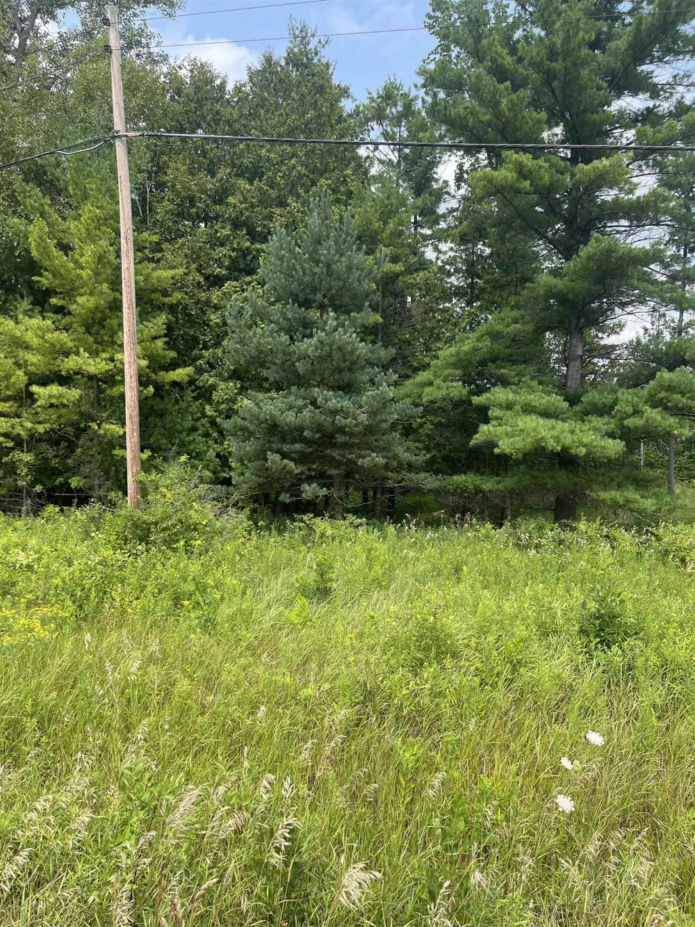 M-55 Tawas Township, MI 48763