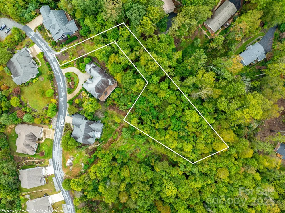 332 Millbrae Loop Hendersonville, NC 28791