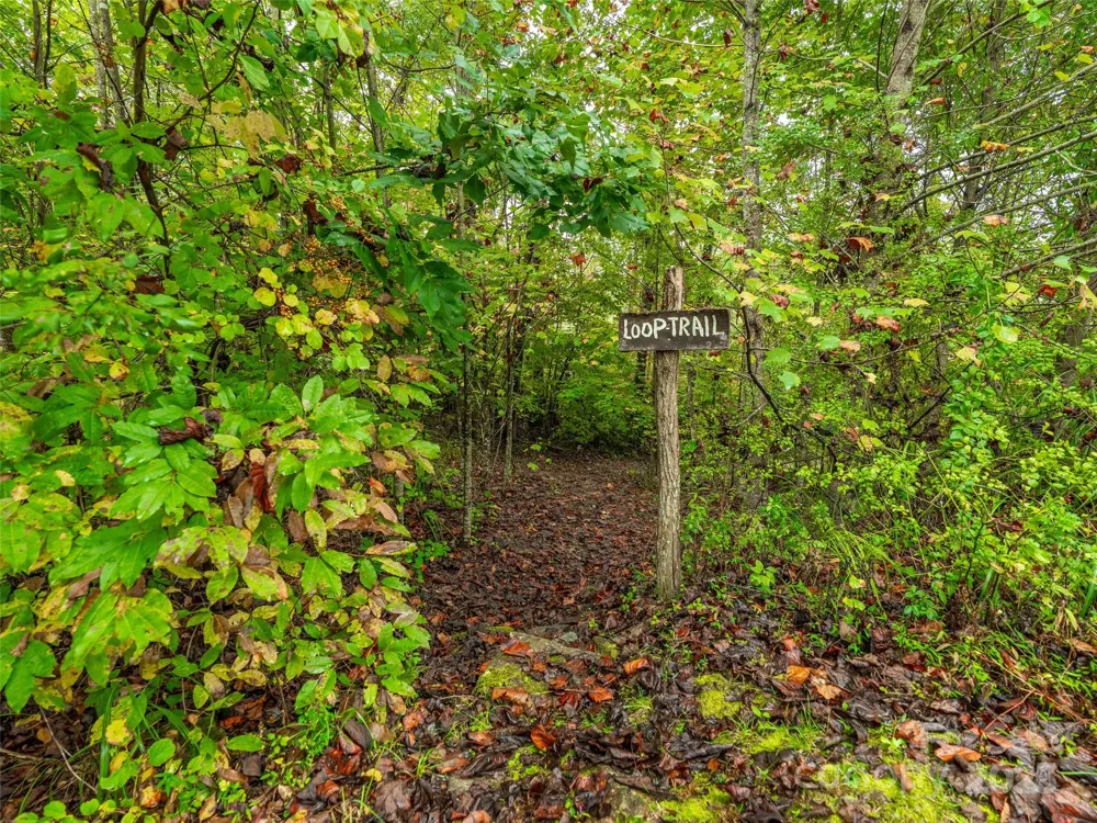 332 Millbrae Loop Hendersonville, NC 28791