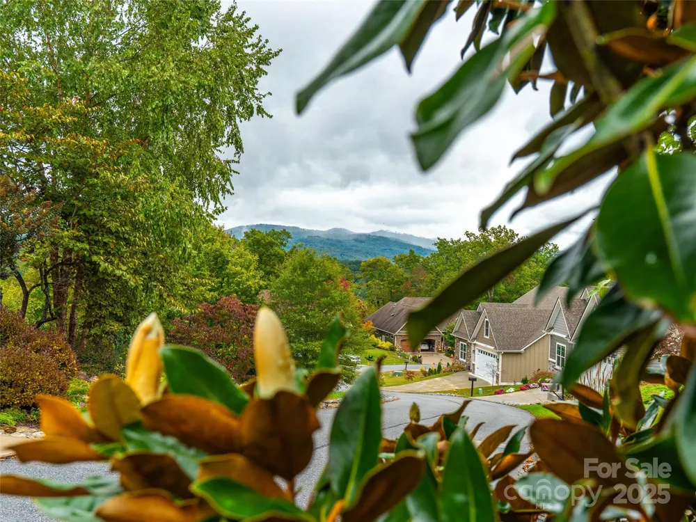 332 Millbrae Loop Hendersonville, NC 28791