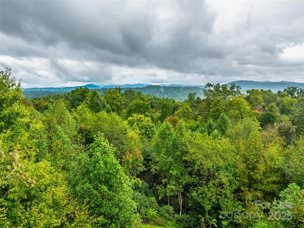 332 Millbrae Loop Hendersonville, NC 28791