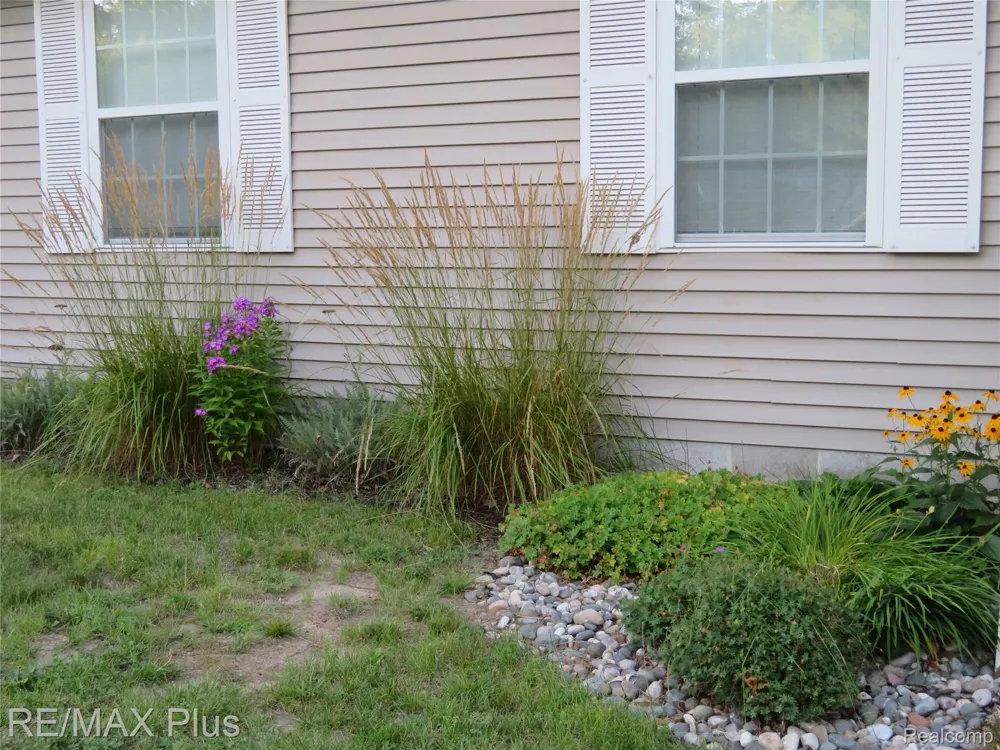 10369 W Higgins Lake Drive Lyon Township, MI 48653