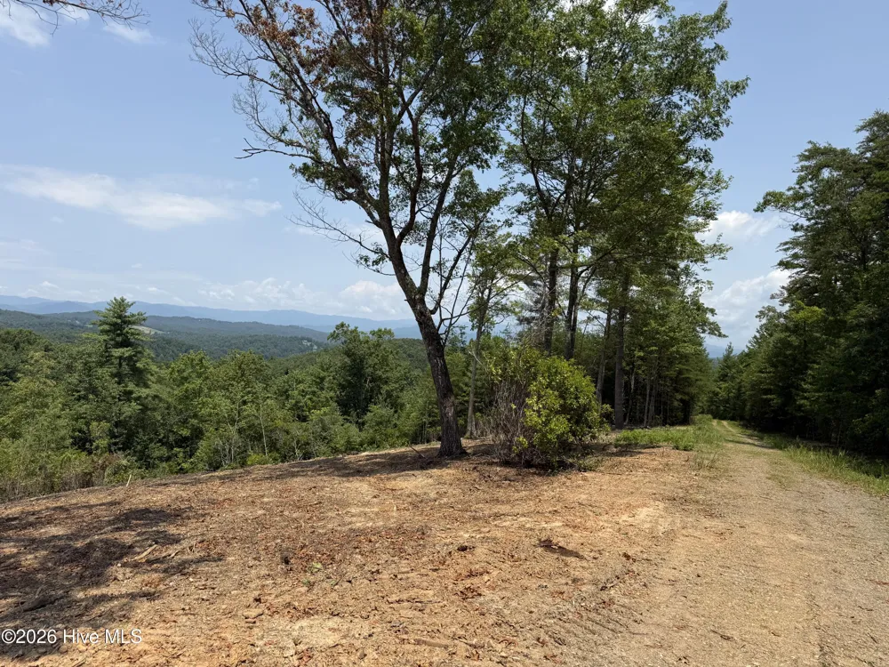 7 Avalon Crst Street Murphy, NC 28906