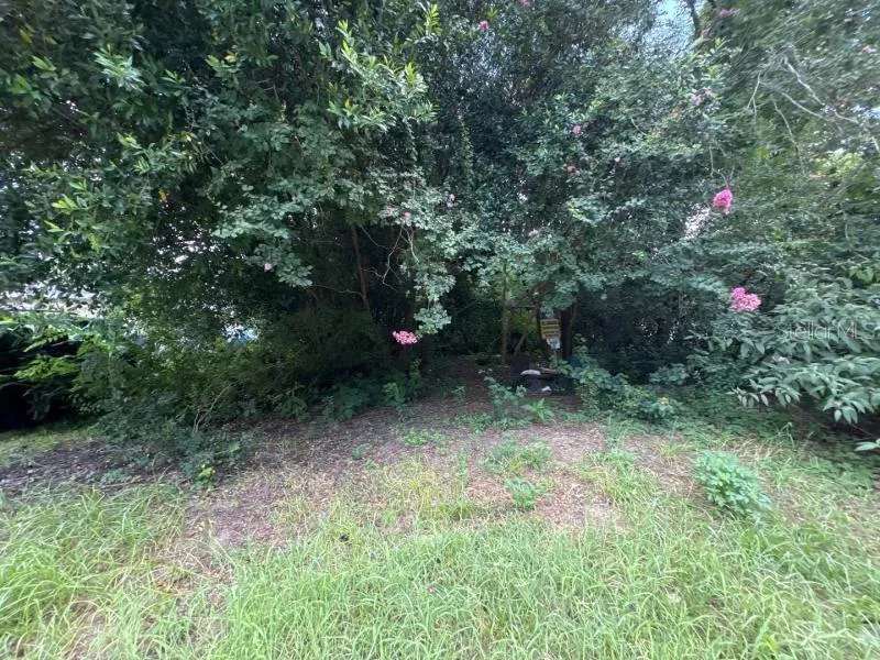 3935 SE 140TH LANE Summerfield, FL 34491