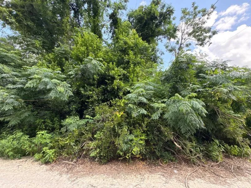3935 SE 140TH LANE Summerfield, FL 34491