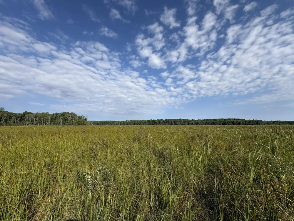XXX Meadowview Road Brainerd, MN 56401