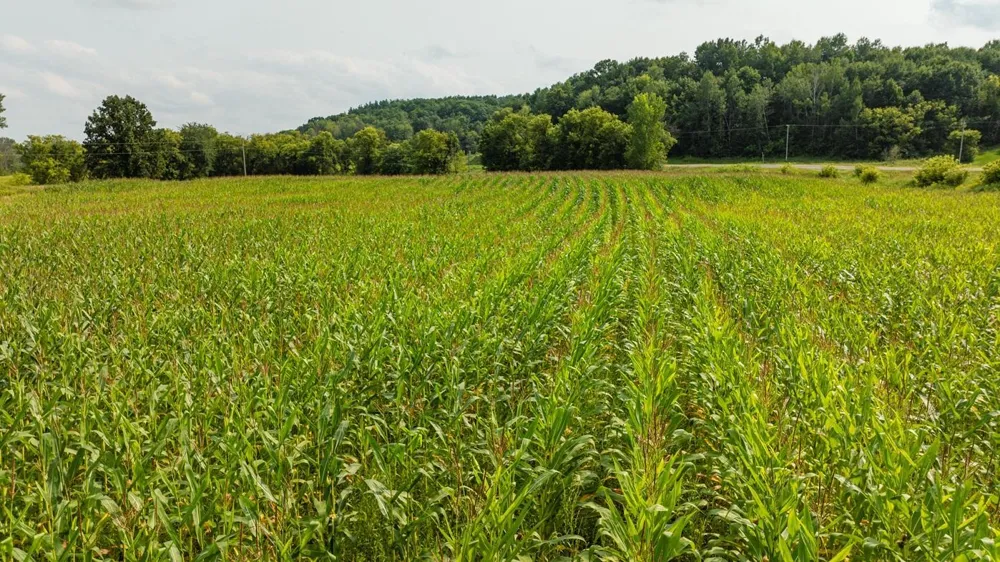 0 County Road K Boyceville, WI 54725