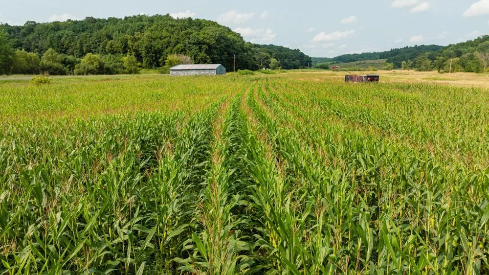 0 County Road K Boyceville, WI 54725