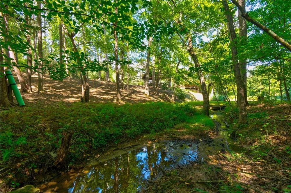 434 Mill Creek Drive Dawsonville, GA 30534
