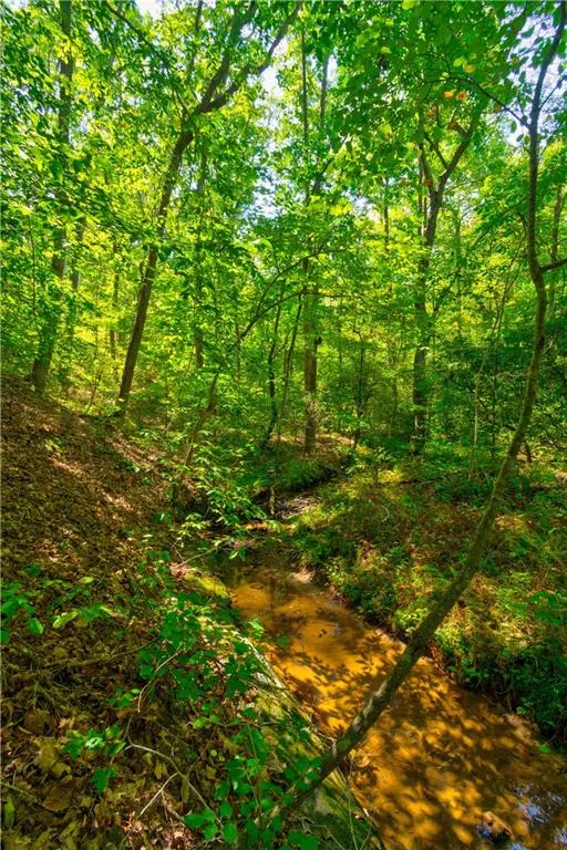 434 Mill Creek Drive Dawsonville, GA 30534