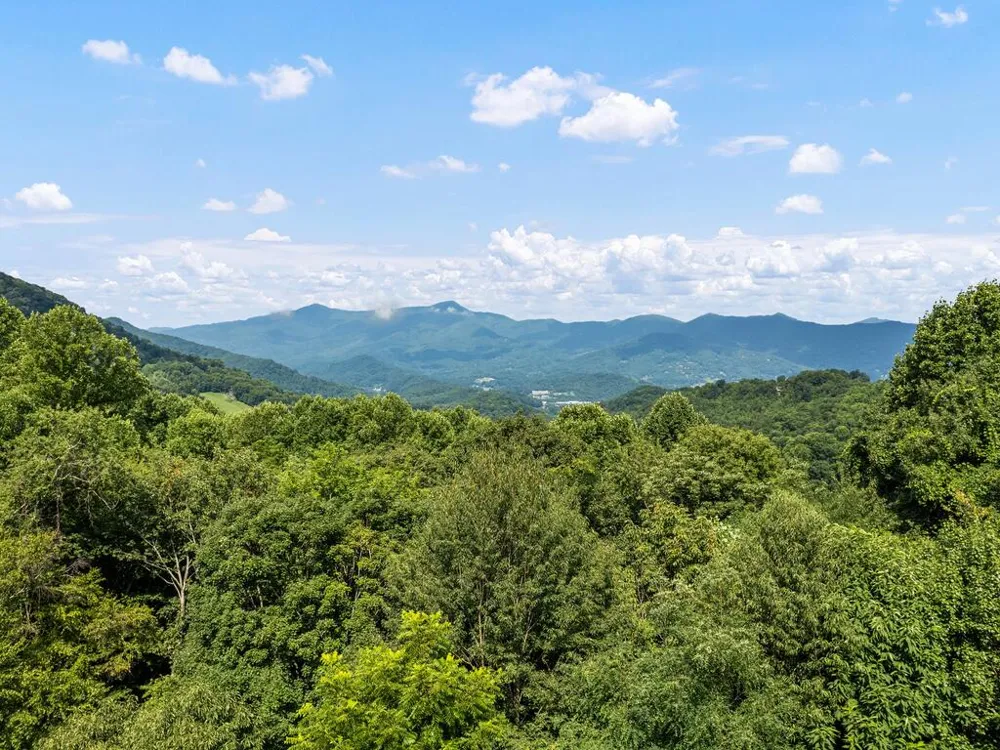 Presidential Waynesville, NC 28786