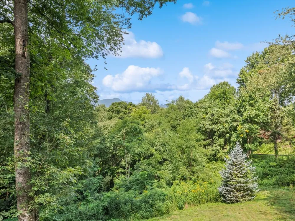 Presidential Waynesville, NC 28786