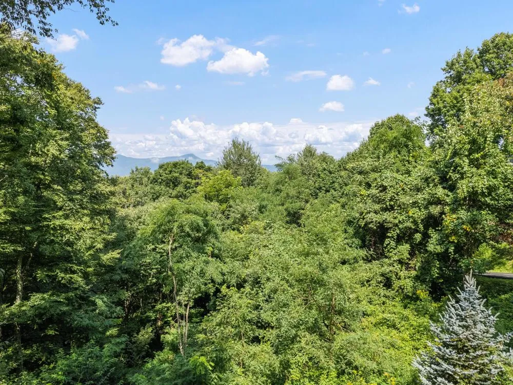 Presidential Waynesville, NC 28786